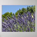 Recherche de en abondance posters Croissance