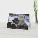 Recherche de montana vœux cartes Faune