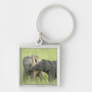 Search for indian elephant keychains Asia