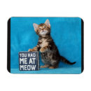 Recherche de mon chaton magnets Humour