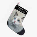 Search for black and white cat christmas stockings Modern
