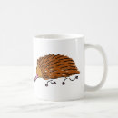 Search for echidna mugs Nature