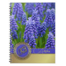 Search for nowruz gifts نوروز