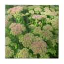 Recherche de joie carreaux Floral