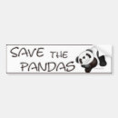 Search for endangered animals bumper stickers Bear