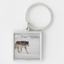 Search for canadian animal keychains Outdoors
