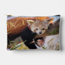 Search for panda accessories Wildlife