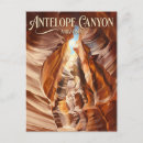 Search for antelopes Nature