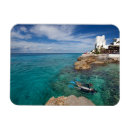 Search for scuba diving magnets Snorkelling
