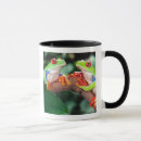 Search for treefrog mugs Green