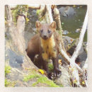 Search for pine tree photography Animals
