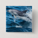 Search for splash buttons Ocean