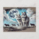 Recherche de clair de lune cartes postales Loup