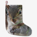 Search for squirrel christmas stockings Rodent