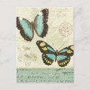 Search for bug collage postcards Blue