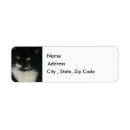 Search for white cat return address labels Kitten