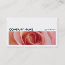 Search for roses photocards Modern