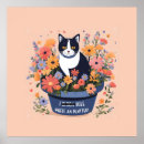 Search for inspirational cat posters Funny