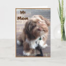 Recherche de shihtzu vœux cartes Maman