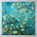 Search for almond art Blossoming almond tree