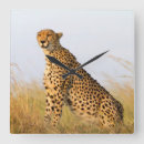 Recherche de guépard horloges Afrique