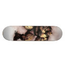 Recherche de position skateboards Capcom