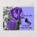 Recherche de iris pourpre invitations Nature