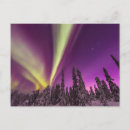Search for aurora borealis postcards Woods