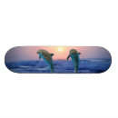 Search for dolphin skateboards Ocean