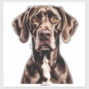 Search for snout stickers Animal