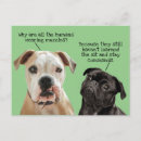 Search for face mask postcards Pandemic