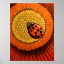 Search for red bug posters Ladybug