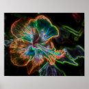 Search for hibiscus art Floral