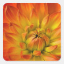 Search for pedal stickers Flower