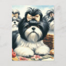 Recherche de tzus de shih cartes postales Chiens