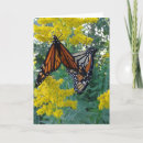 Search for wonderful cards Pretty
