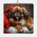 Search for tibetan spaniel ornaments Pet