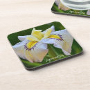 Search for white iris photography Irises