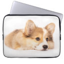 Search for queen elizabeth cases Pembroke welsh corgi