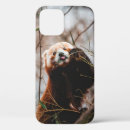 Search for bear protector electronics Retro