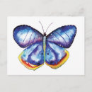 Recherche de mariposa cartes postales Nature