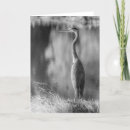 Search for black white photography cards Bird