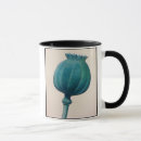 Search for opium Poppy