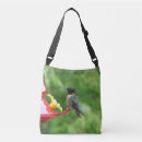 Search for ruby bags Ruby throated hummingbird