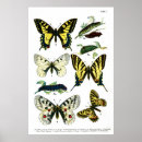 Search for 36 x 24 posters Nature