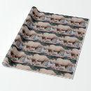 Recherche de rhinocéros papier cadeau Zoo