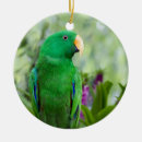 Search for parrot ornaments Pet