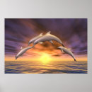 Search for dolphins at sunset posters Sunrise