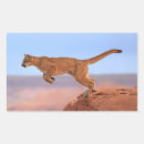 Search for utah rocks stickers Landscape