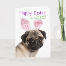 Search for pug easter cards Puppy